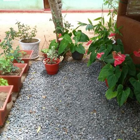Pawansa Home Stay Habarana Ngoại thất bức ảnh