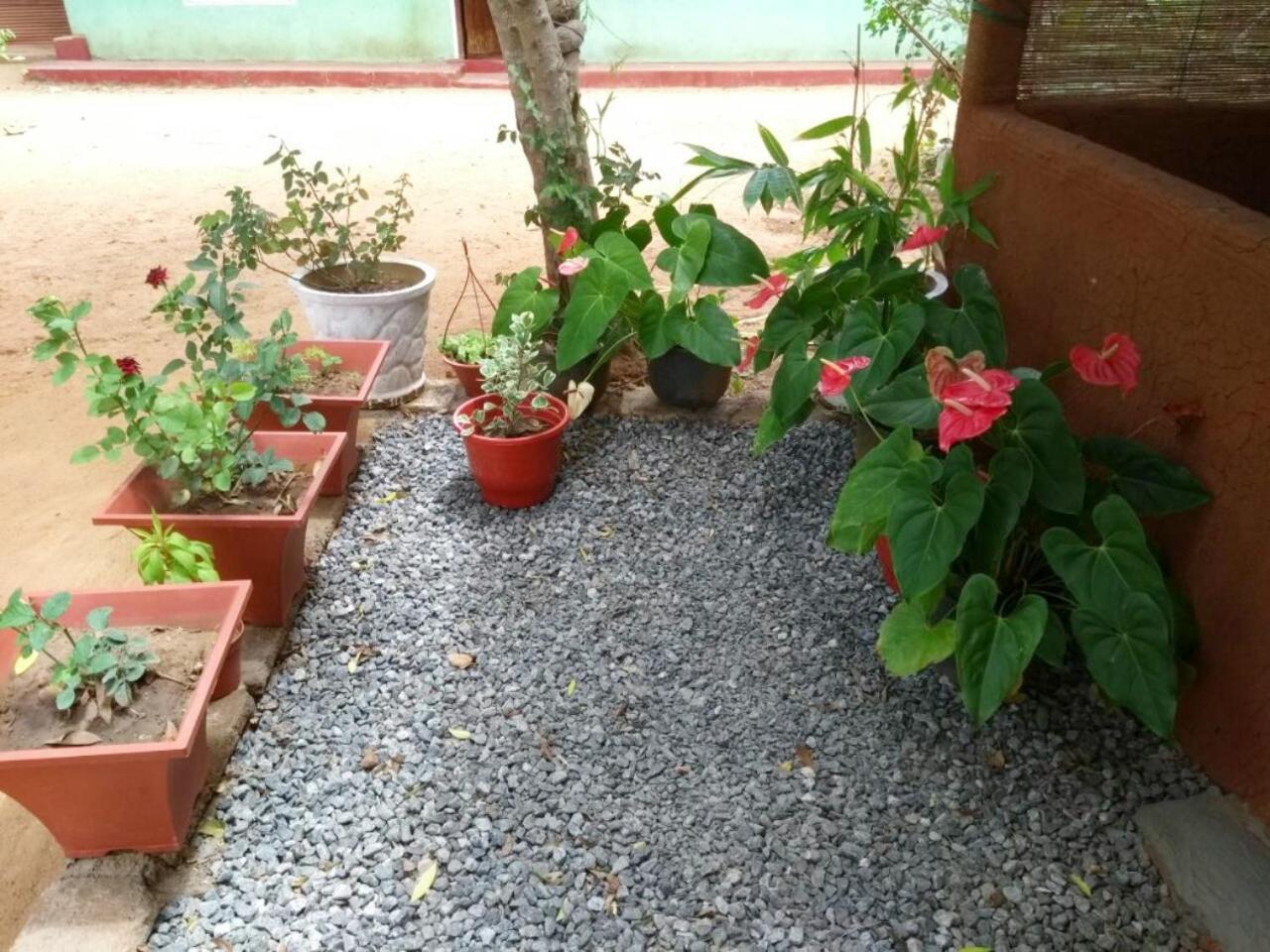 Pawansa Home Stay Habarana Ngoại thất bức ảnh