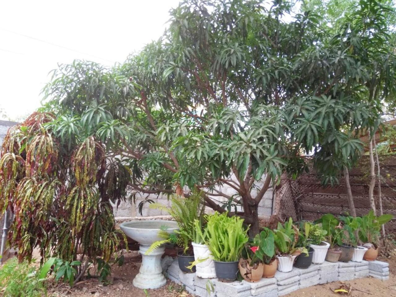 Pawansa Home Stay Habarana Ngoại thất bức ảnh